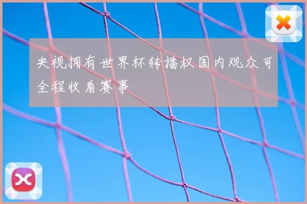 央视拥有世界杯转播权国内观众可全程收看赛事