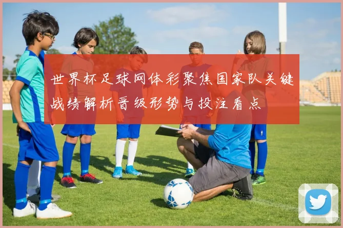 世界杯足球网体彩聚焦国家队关键战绩解析晋级形势与投注看点