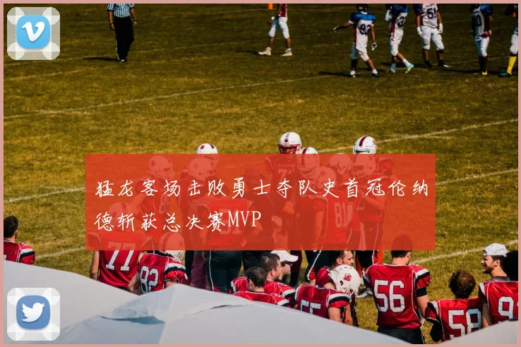 猛龙客场击败勇士夺队史首冠伦纳德斩获总决赛MVP