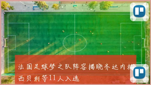 法国足球梦之队阵容揭晓齐达内梅西贝利等11人入选
