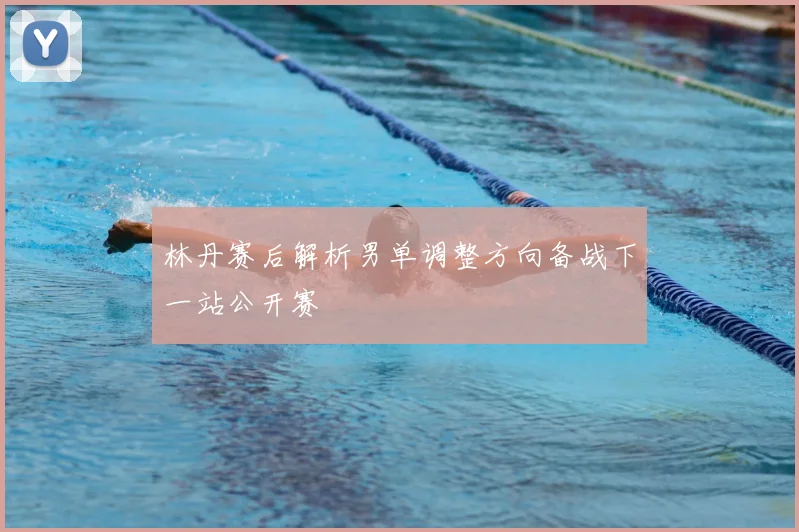 林丹赛后解析男单调整方向备战下一站公开赛