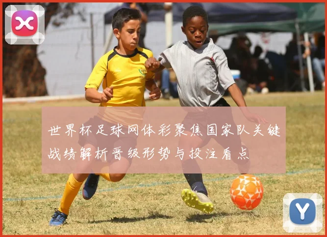 世界杯足球网体彩聚焦国家队关键战绩解析晋级形势与投注看点