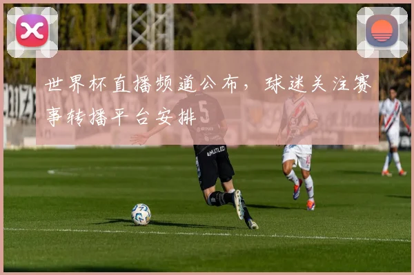 世界杯直播频道公布,球迷关注赛事转播平台安排