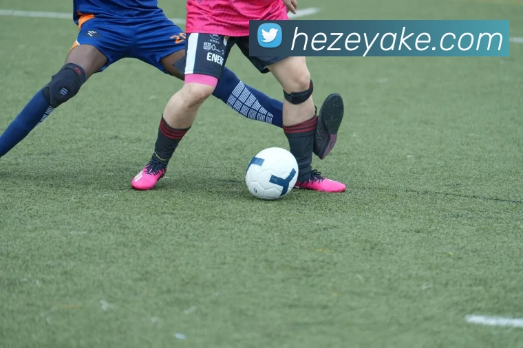 开云手机在线登录官网服务体系