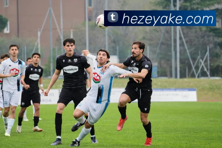 开云手机在线登录官网APP 体育赛事宣传图